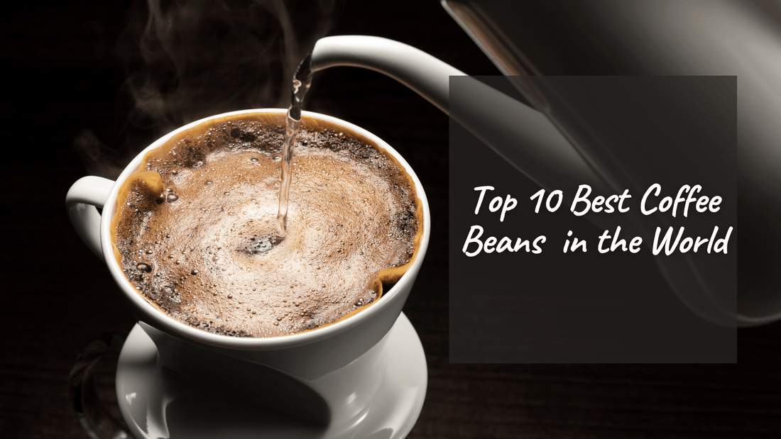 Top 10 Best Coffee Beans in the World - Pebble & Pine Coffee