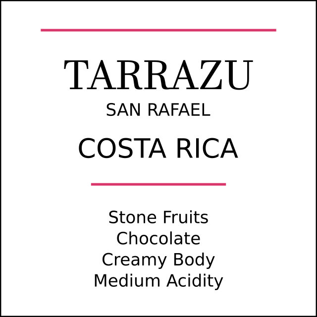 Costa Rica Tarrazu Medium Roast - Pebble & Pine Coffee