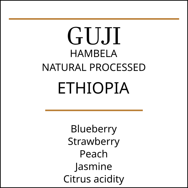 Ethiopian Guji Hambela coffee with flavours of blueberry, peach and jasmine florality
