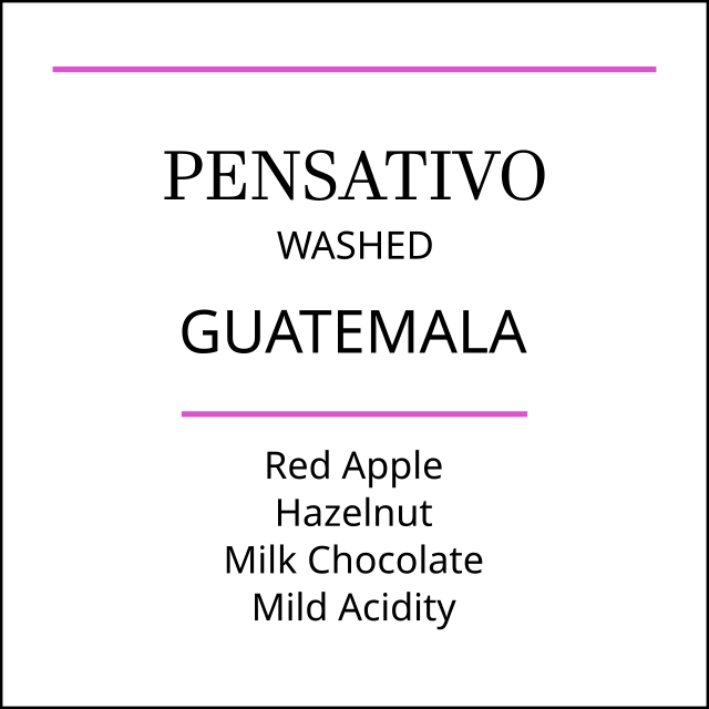 Guatemala El Pensativo Medium Roast - Pebble & Pine Coffee
