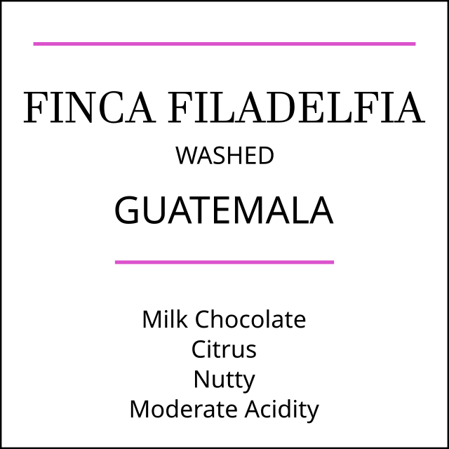 Guatemala Finca Filadelfia Medium Roast
