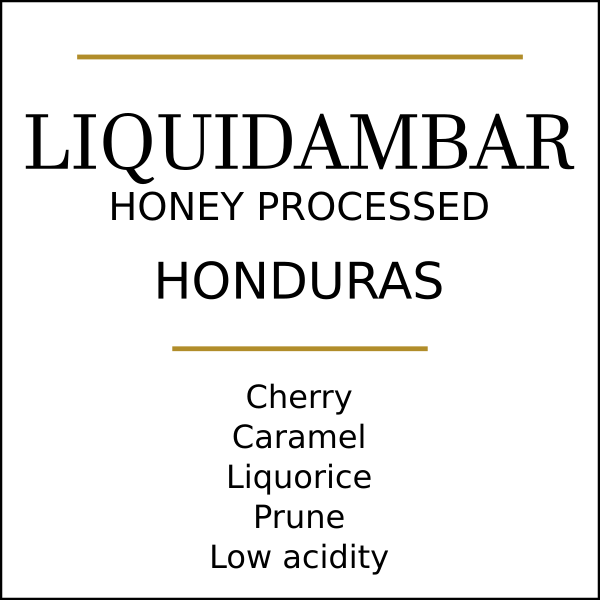 Honduras Finca Liquidambar Coffee Beans