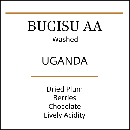Uganda Bugisu AA Medium Roast