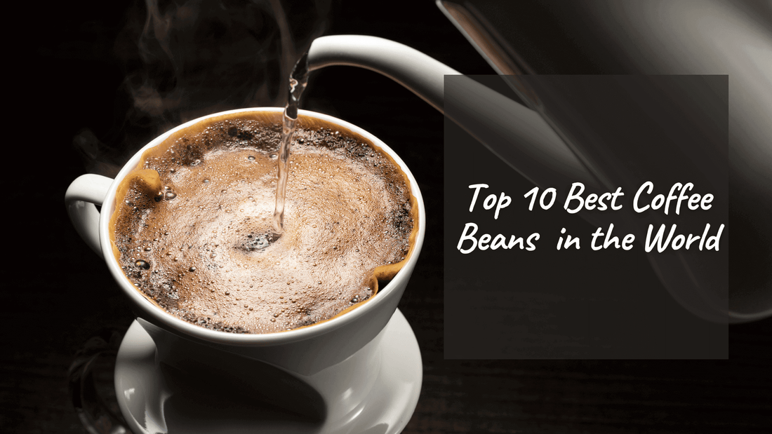 Top 10 Best Coffee Beans in the World - Pebble & Pine Coffee