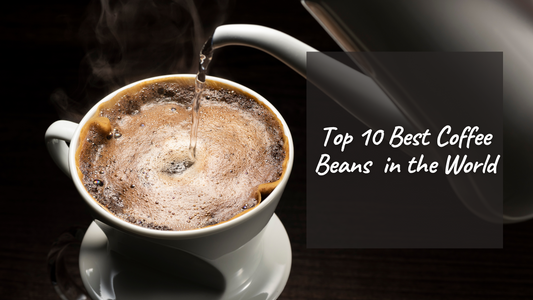 Top 10 Best Coffee Beans in the World