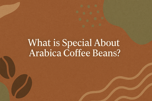 What is special about Arabica coffee beans?