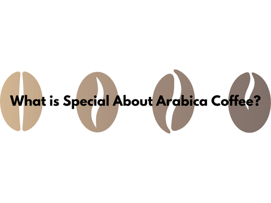 What is special about Arabica coffee beans?