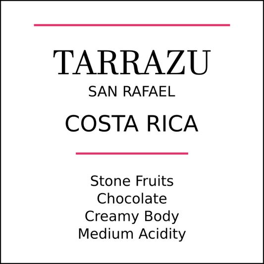 Costa Rica Tarrazu Medium Roast - Pebble & Pine Coffee