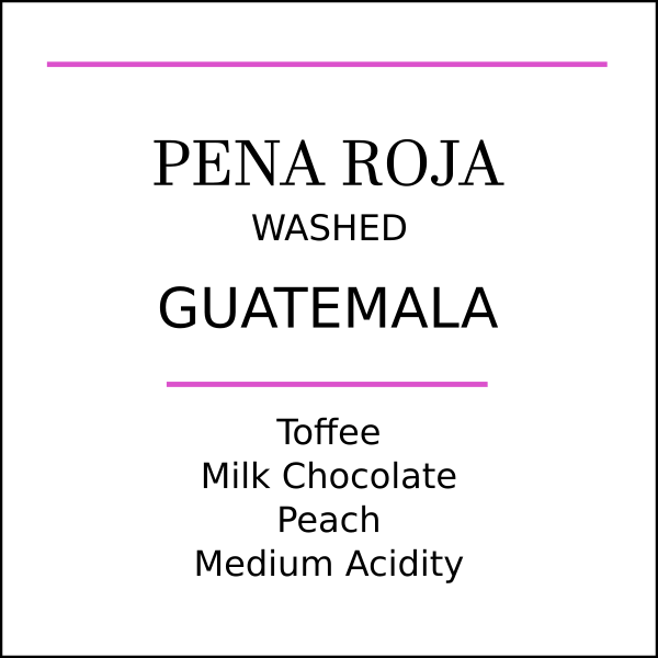 Guatemala Pena Roja Medium Roast - Pebble & Pine Coffee