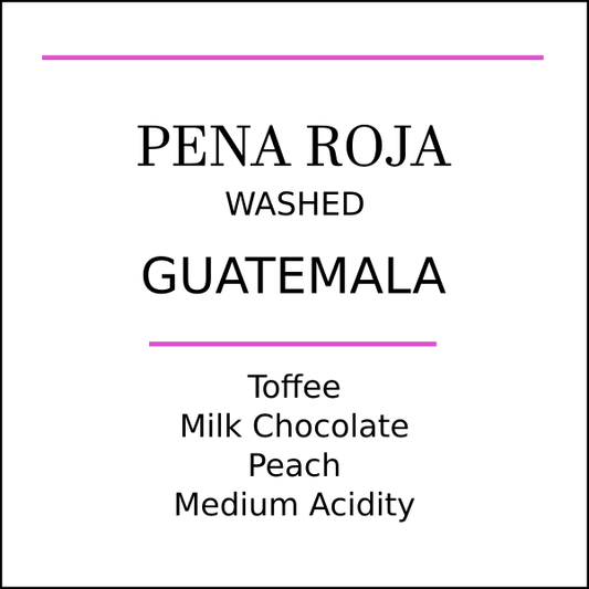 Guatemala Pena Roja Medium Roast - Pebble & Pine Coffee