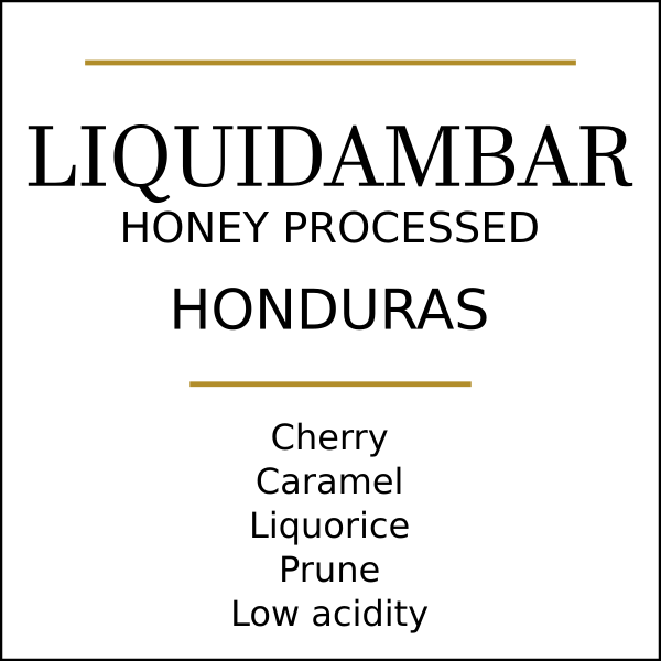 Honduras Finca Liquidambar Coffee Beans 