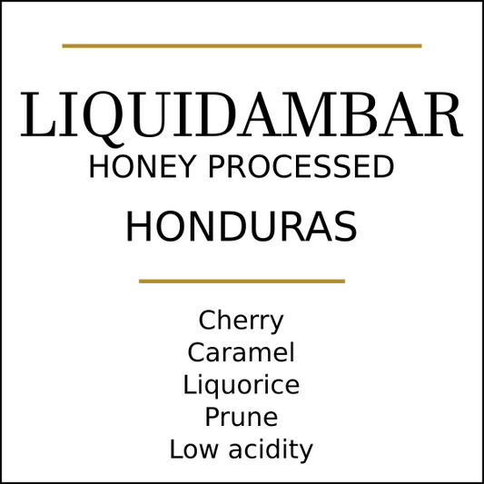 Honduras Finca Liquidambar Coffee Beans 