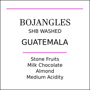 Guatemala SHB Bojangles Medium Roast